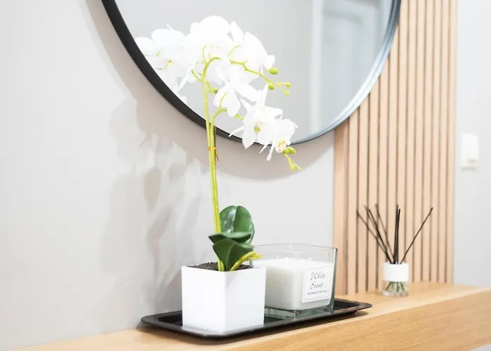 An Sol “ferrol” Daire *